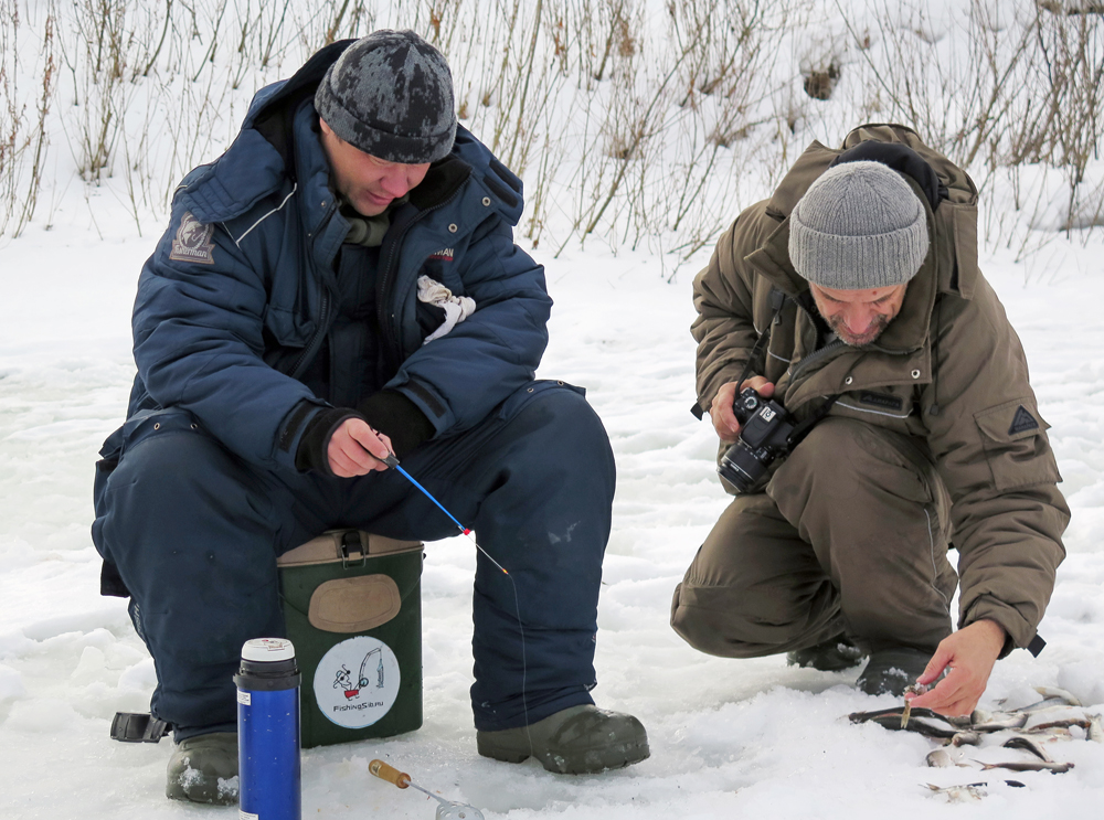 рыба как плотва но с белыми глазами и плавниками. Смотреть фото рыба как плотва но с белыми глазами и плавниками. Смотреть картинку рыба как плотва но с белыми глазами и плавниками. Картинка про рыба как плотва но с белыми глазами и плавниками. Фото рыба как плотва но с белыми глазами и плавниками рыба как плотва но с белыми глазами и плавниками. Смотреть фото рыба как плотва но с белыми глазами и плавниками. Смотреть картинку рыба как плотва но с белыми глазами и плавниками. Картинка про рыба как плотва но с белыми глазами и плавниками. Фото рыба как плотва но с белыми глазами и плавниками