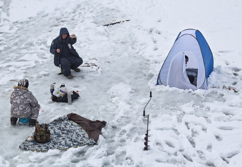 рыба как плотва но с белыми глазами и плавниками. Смотреть фото рыба как плотва но с белыми глазами и плавниками. Смотреть картинку рыба как плотва но с белыми глазами и плавниками. Картинка про рыба как плотва но с белыми глазами и плавниками. Фото рыба как плотва но с белыми глазами и плавниками рыба как плотва но с белыми глазами и плавниками. Смотреть фото рыба как плотва но с белыми глазами и плавниками. Смотреть картинку рыба как плотва но с белыми глазами и плавниками. Картинка про рыба как плотва но с белыми глазами и плавниками. Фото рыба как плотва но с белыми глазами и плавниками