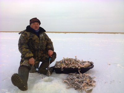 Клев рыбы в шаитике новосибирская область. Зимняя рыбалка Чаны. Озеро Чаны рыбалка. Рыбалка на озере Чаны зимой. Рыбалка в Чанах Новосибирской.