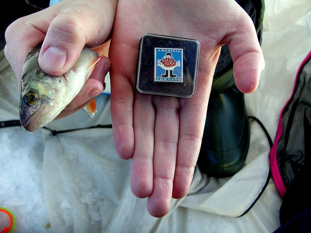 Первое звание молодого рыбака.