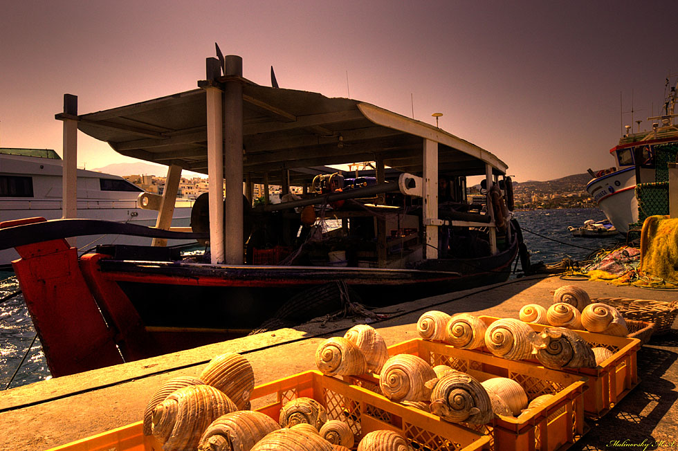 "Зачетный улов на Средиземном море", о.Крит, август 2014 г. Из серии "Мои Фото-трофеи разных лет".