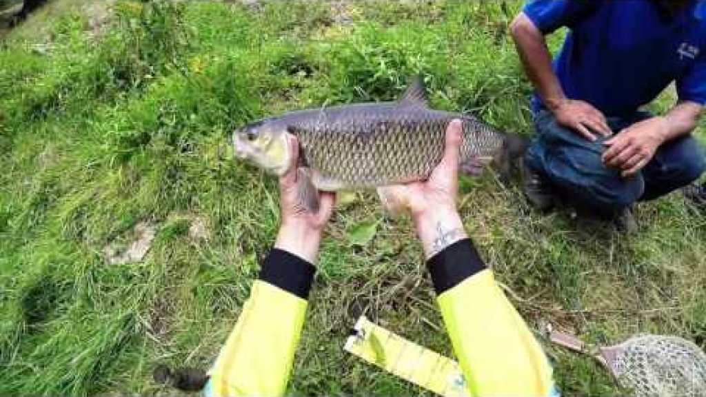 ULtra Fishing UK: secret weapon :SV Fishing Lures ULtra Fishing UK: secret weapon :SV Fishing Lures