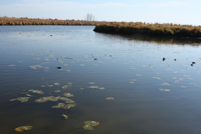Озеро Хомутина Октябрь