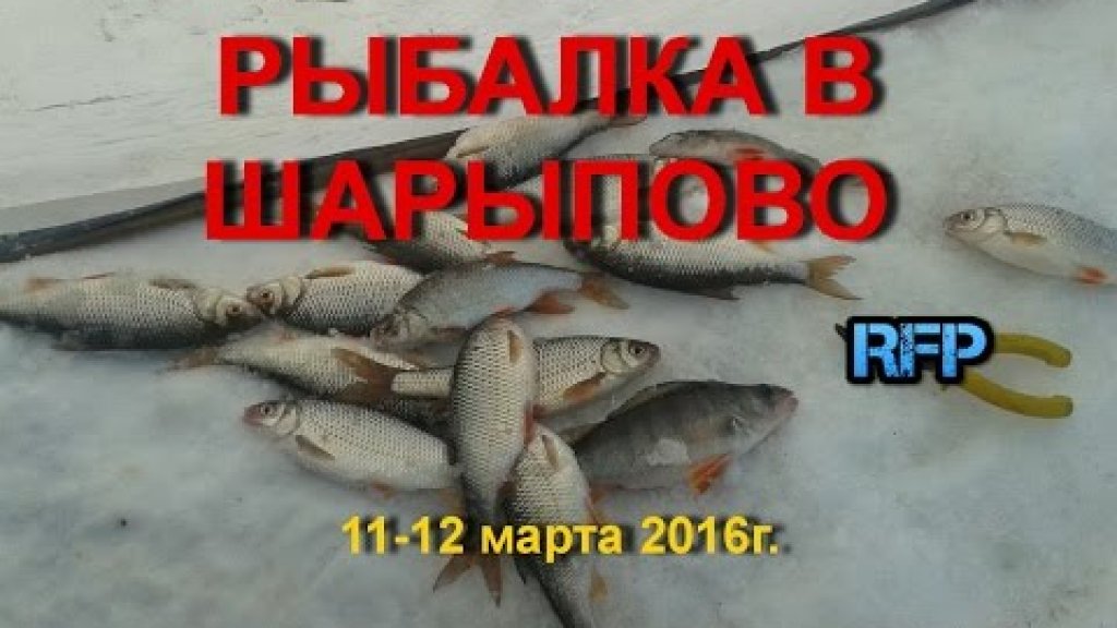 Рыбалка зимой в Шарыпово 2 (Красноярский край) 11-12.03.16