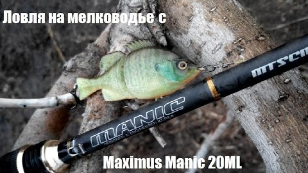 Ловля на мелководье с Maximus Manic 20 ML