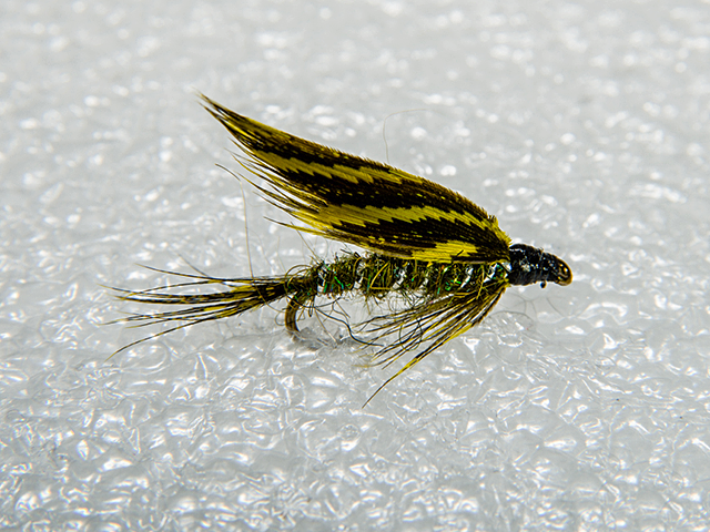 Wet Fly