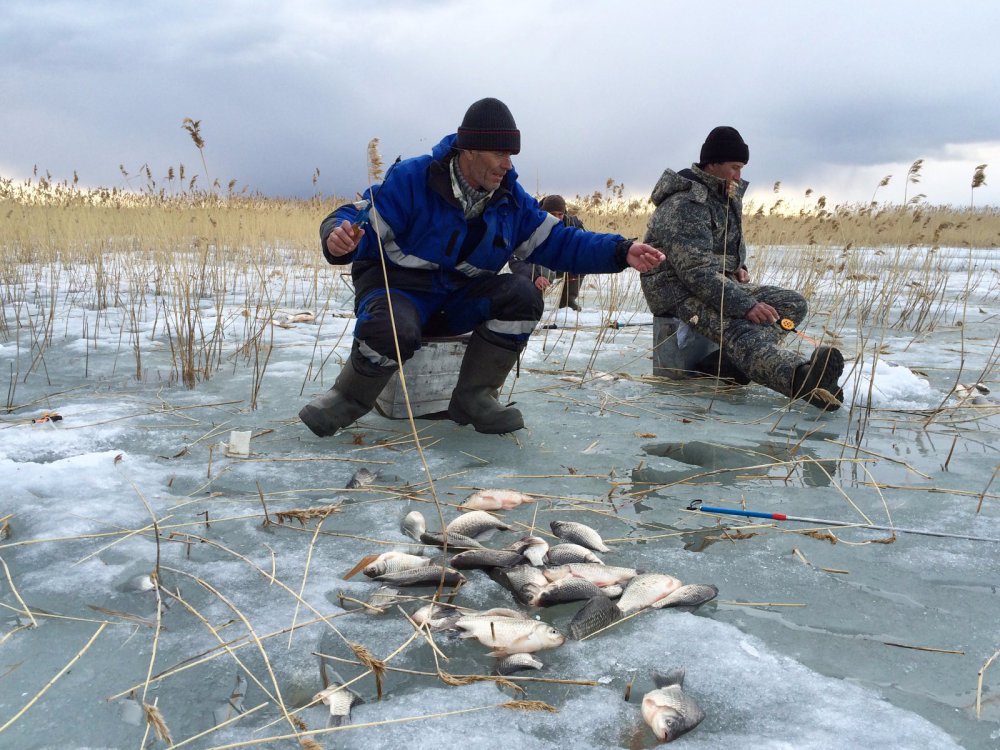 Ловим последние дни. Чаны, рыбалка озеро Чаны. Зимняя рыбалка на озере Чаны. Озеро Чаны Новосибирская область рыбалка. Озеро Чаны Новосибирская . Зимняя рыбалка.