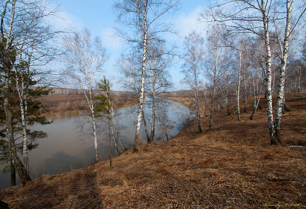 Река иня новосибирской области фото