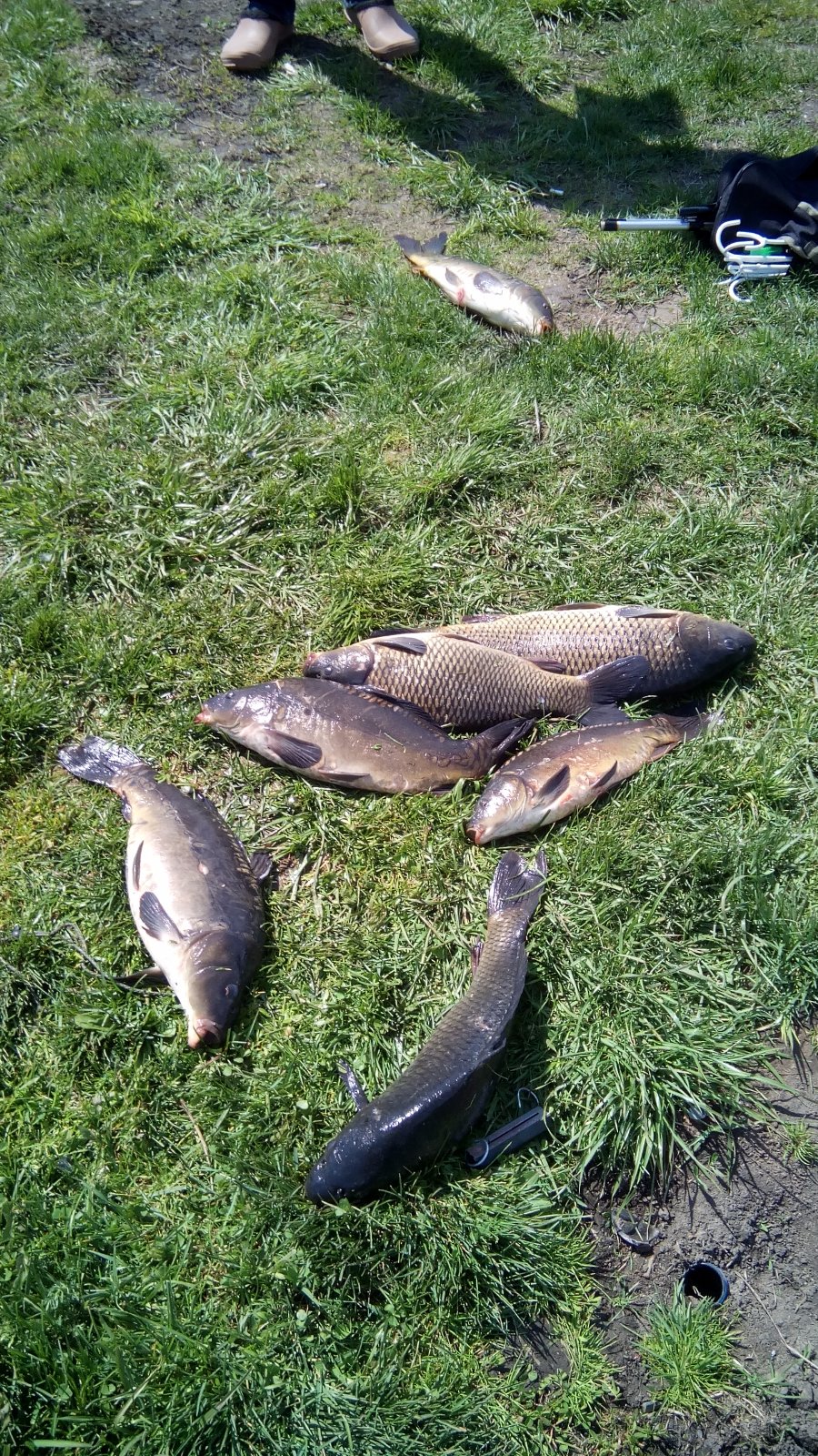 Бардак. Все не так ,как хочется нам рыбакам. | Вести с водоемов