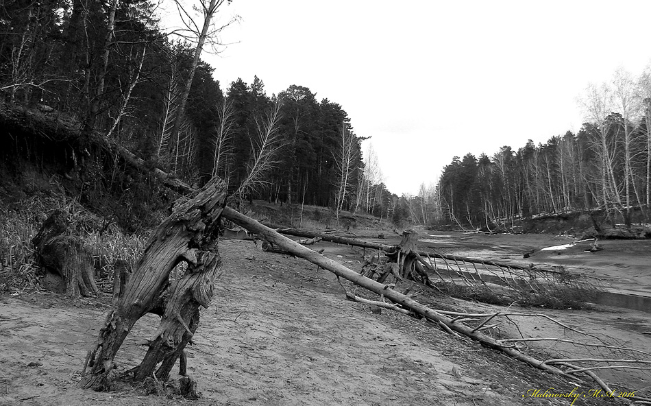 Река Гуменка - Апрель 2008 г. Из серии "Мои Фото-трофеи разных лет".