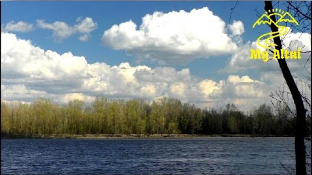Алтай, весна в низовьях Катуни