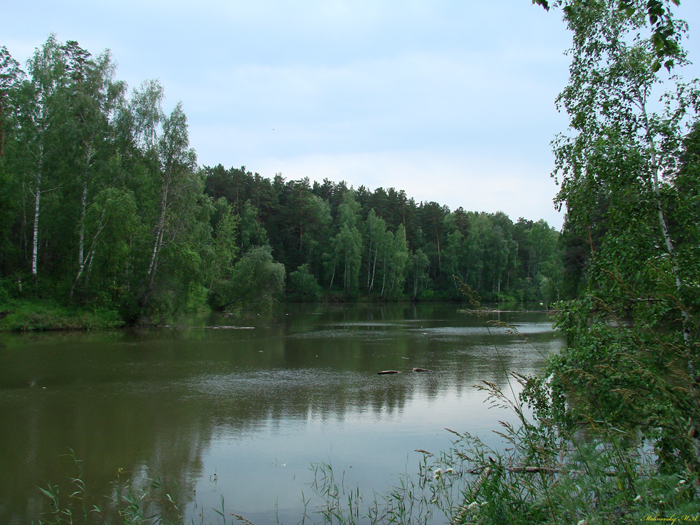 Река Гуменка - Июнь 2007 г. Из серии "Мои Фото-трофеи разных лет".