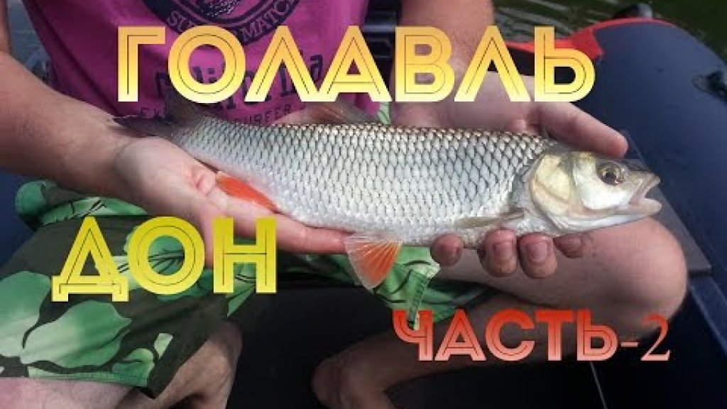 Голавль на ультралайт (Около реки)