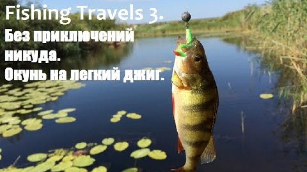 Fishing Travels 3. Без приключений никуда. Окунь на легкий джиг.