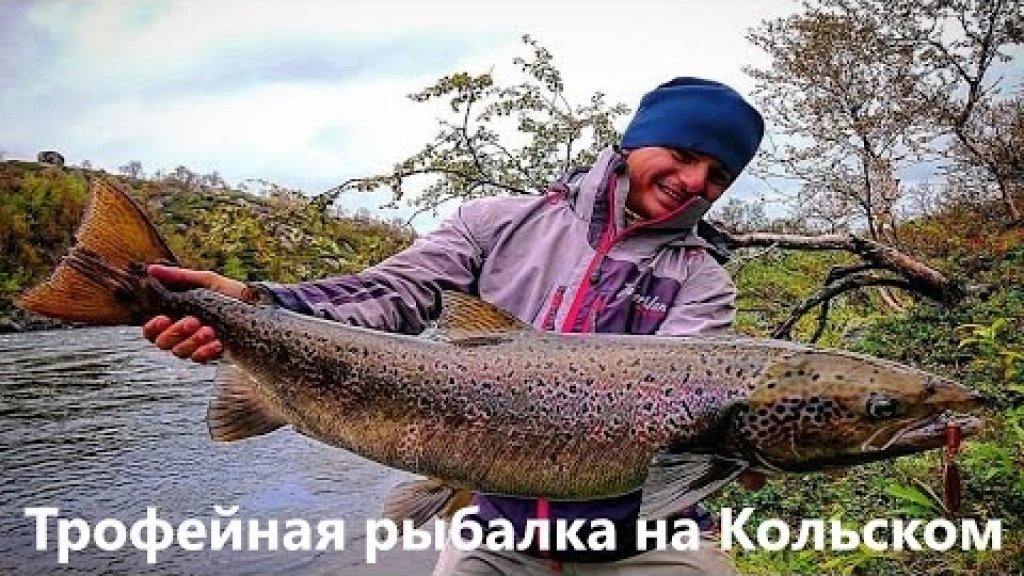 Трофейная рыбалка на Кольском.