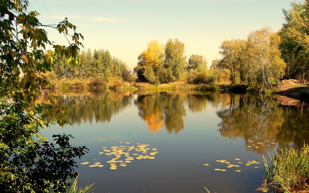 Озеро глухое Новосибирск