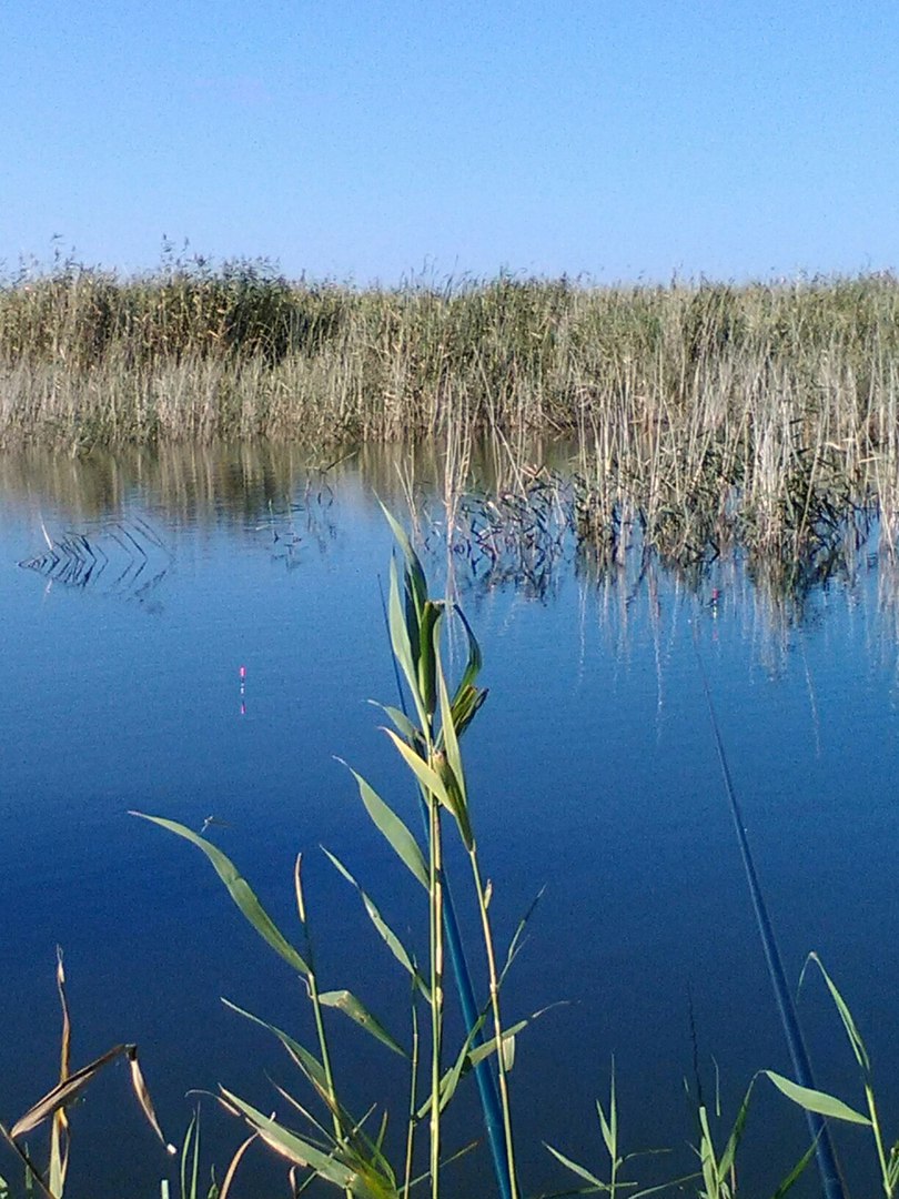 Гуселетово, Алтайский край, Романовский район | Вести с водоемов