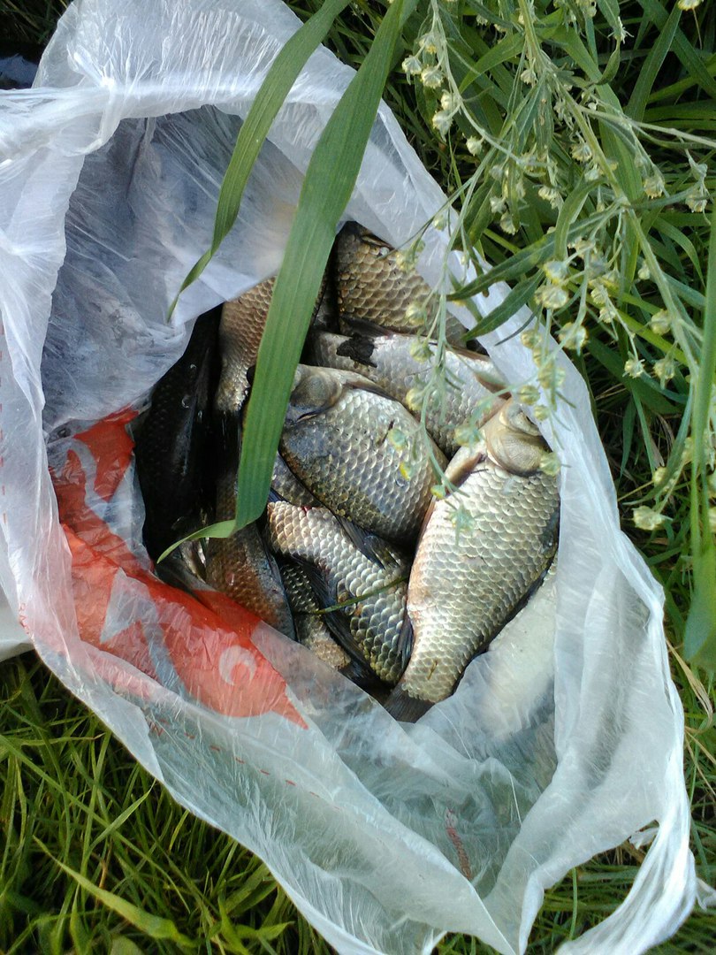 Гуселетово, Алтайский край, Романовский район | Вести с водоемов