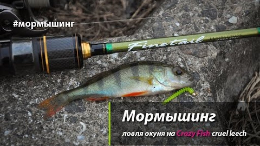 Мормышинг. Ловля окуня на Crazy Fish cruel leech