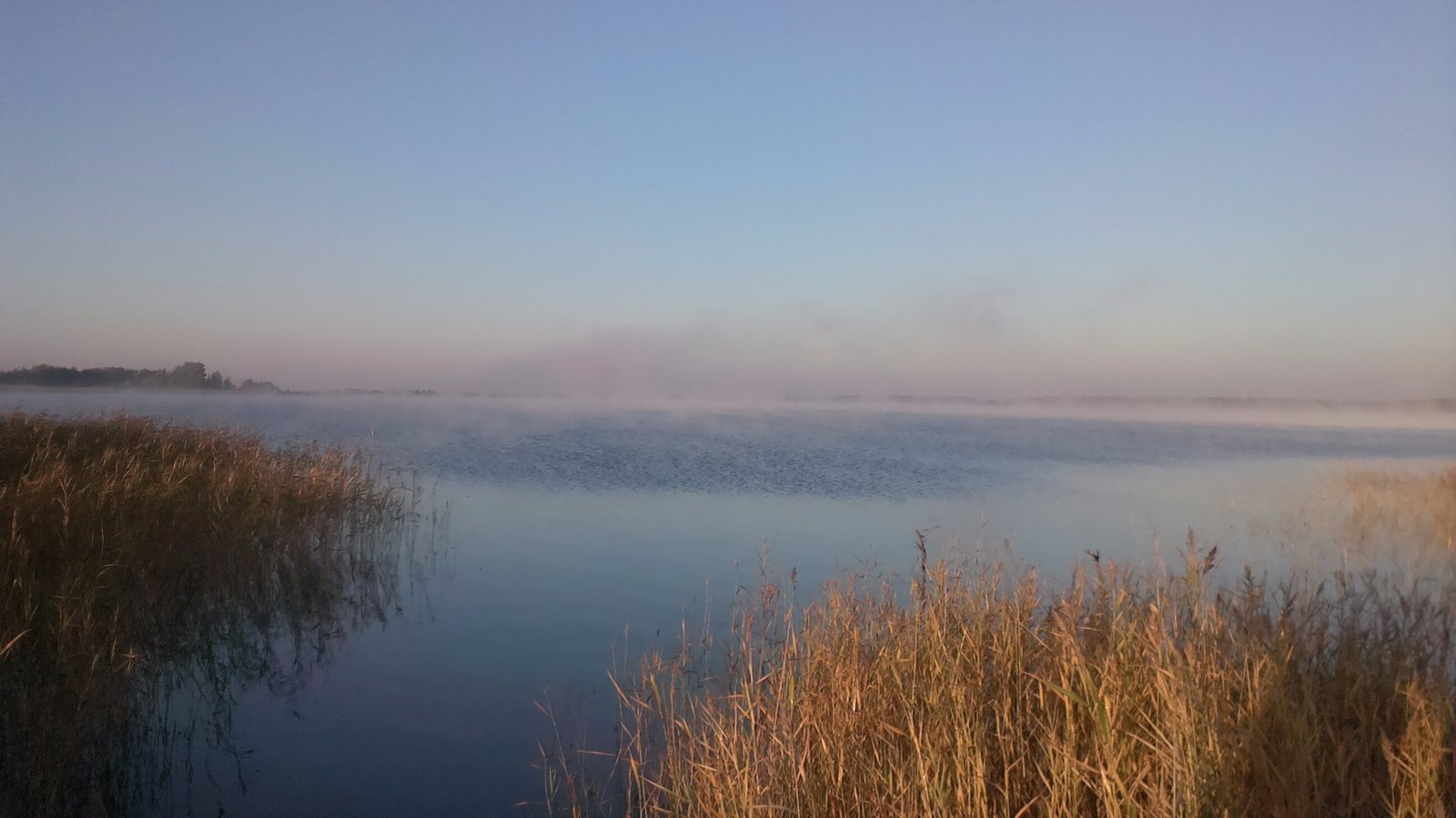 Оз. Горькое, Тюменцевский район. | Вести с водоемов