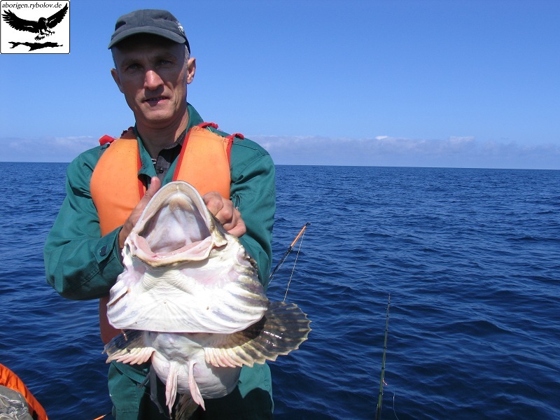 морская рыбалка сахалин морская рыбалка сахалин