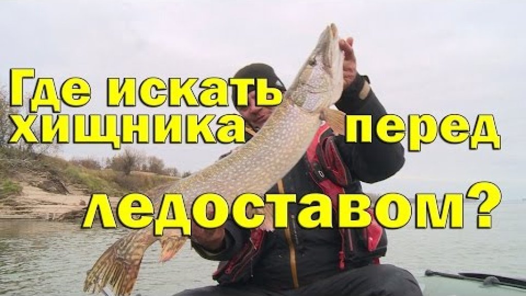 Где искать хищника перед ледоставом ?Щука на джиг по холодной воде.