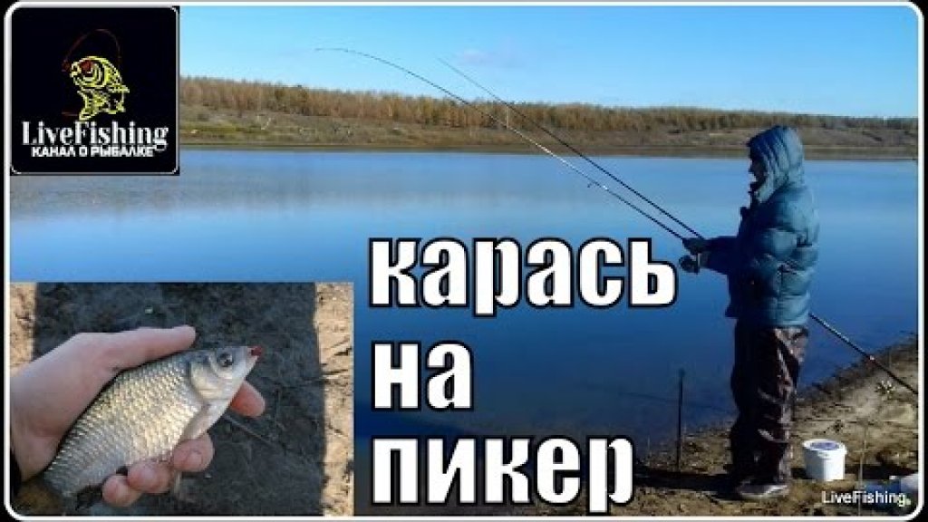 Отличная рыбалка на карася. Ловля карася на пикер осенью. (LiveFishing)