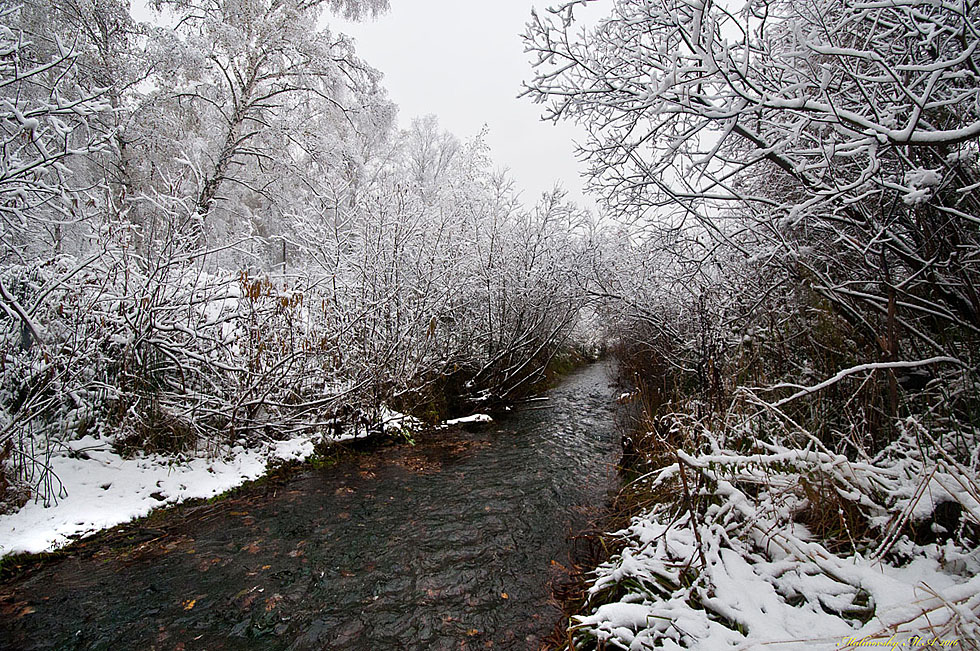 Снежное и пушистое утро на реке.