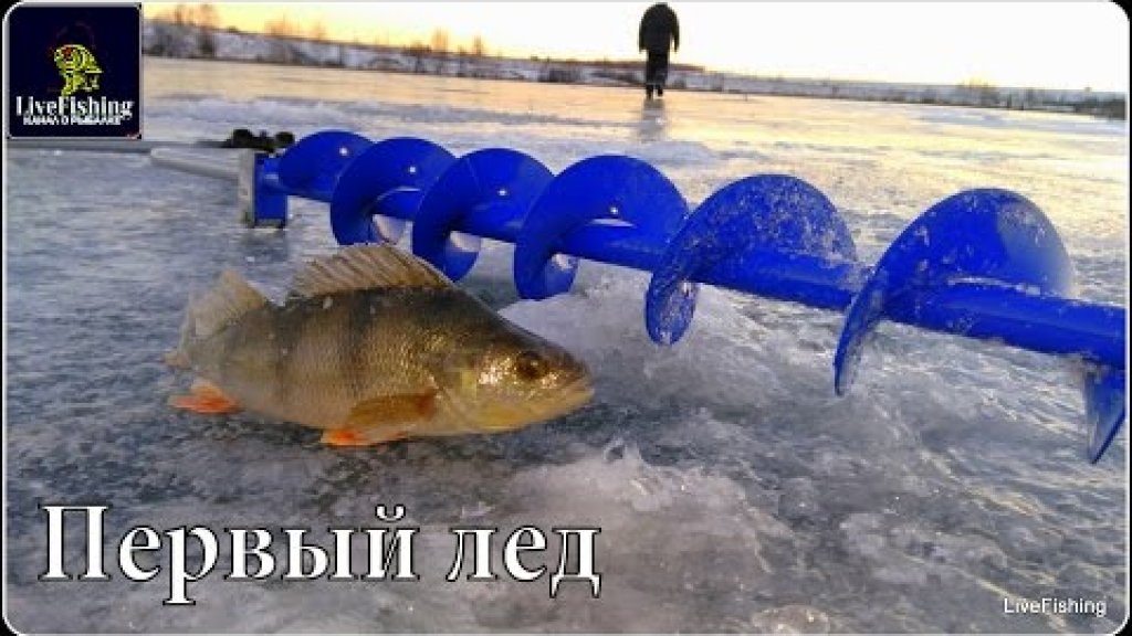 Первый лед 2016- 2017 .(LiveFishing)