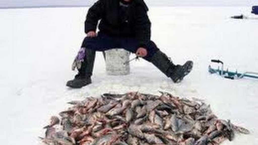 секреты рыбалки первый лед судак бершь