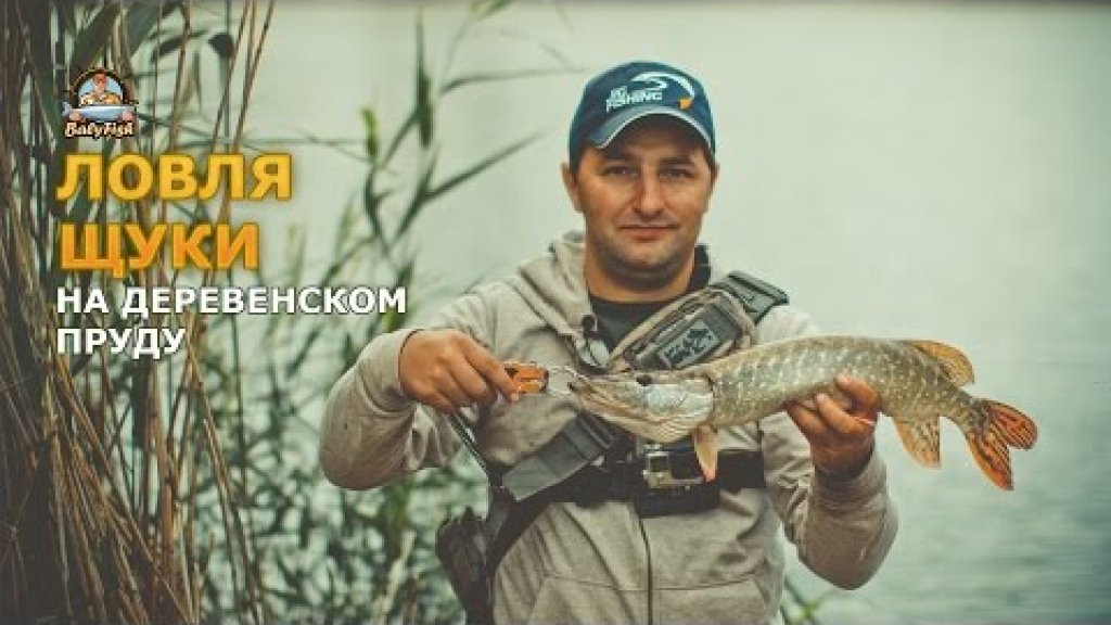 Ловля щуки на деревенском пруду (2016 г) Ловля щуки на деревенском пруду (2016 г)