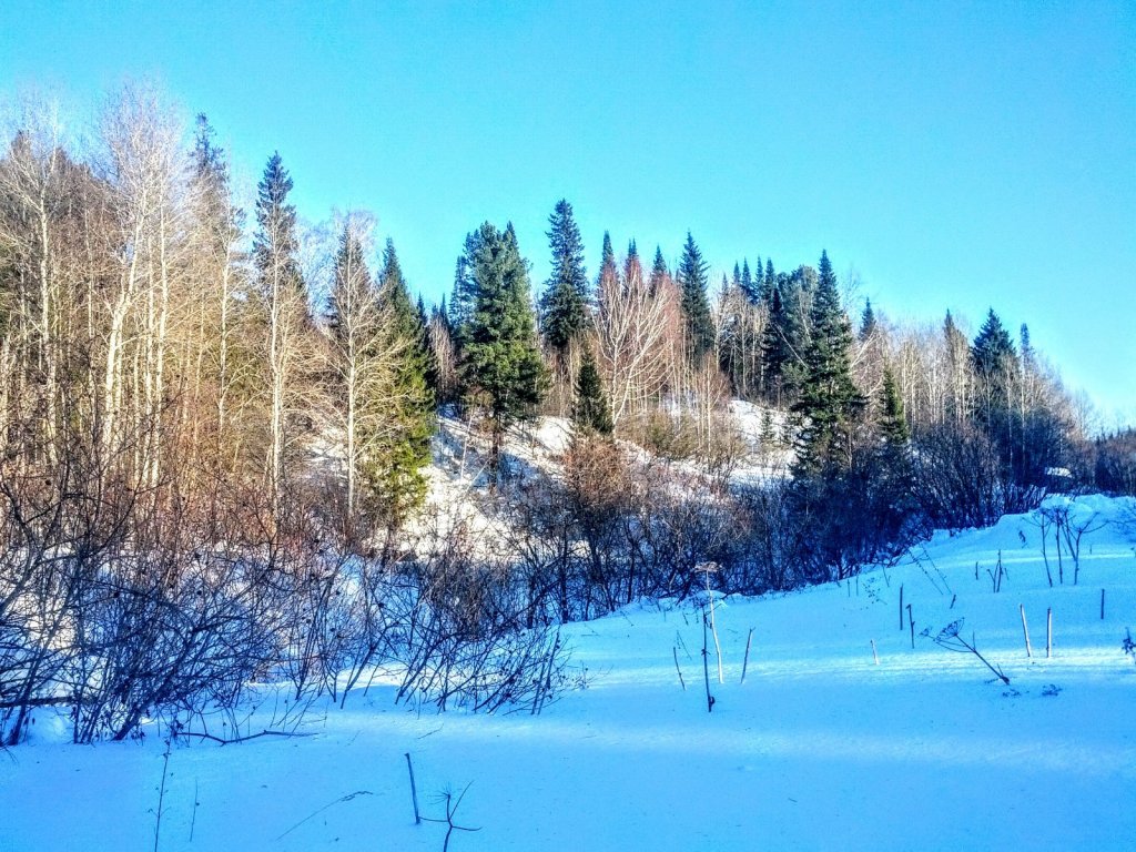 Почти весна.