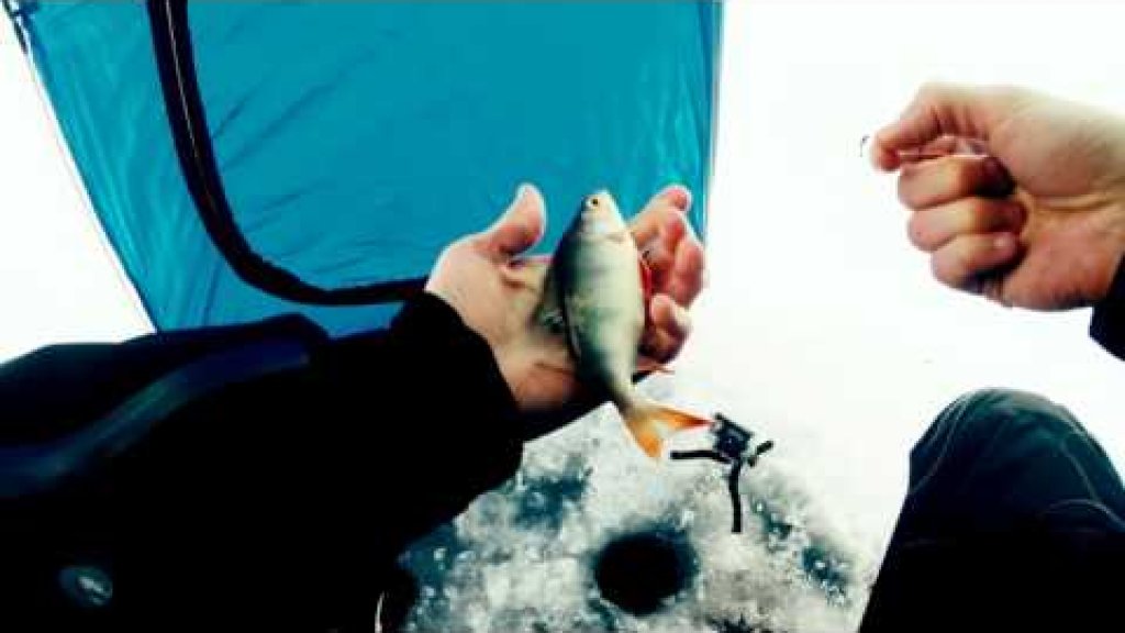 Зимняя рыбалка 2016-2017 на поплавок и мормышку
