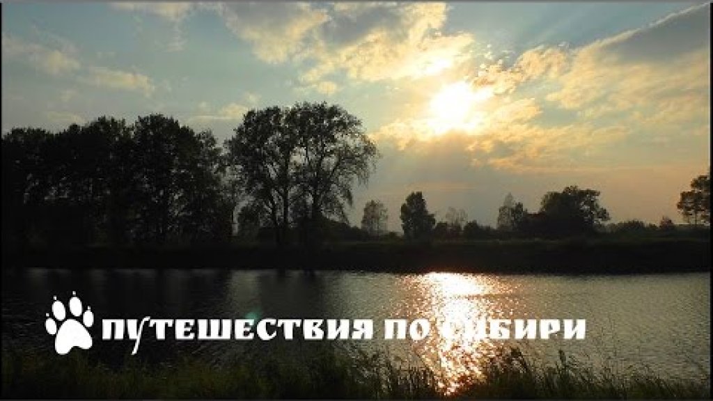 Один день уходящего лета. Алтайский край, Усть-Пристанский район, река Курья ...