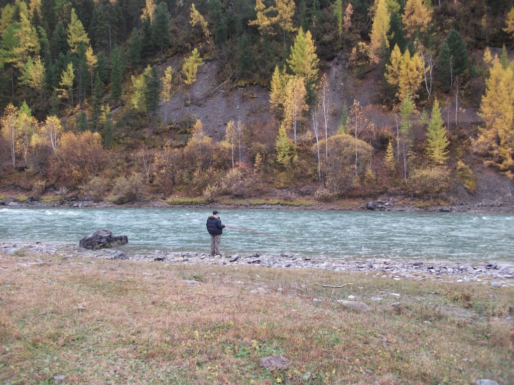 Горный Алтай рыбалка хариуса на реке Чуя.