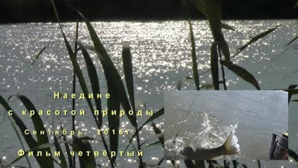 Мои видеозарисовки с рыбалок 2016-го года о красоте природы Ставрополья.