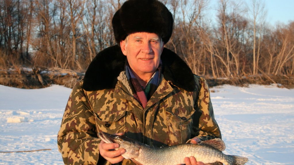 Мир твоих увлечений Мир твоих увлечений