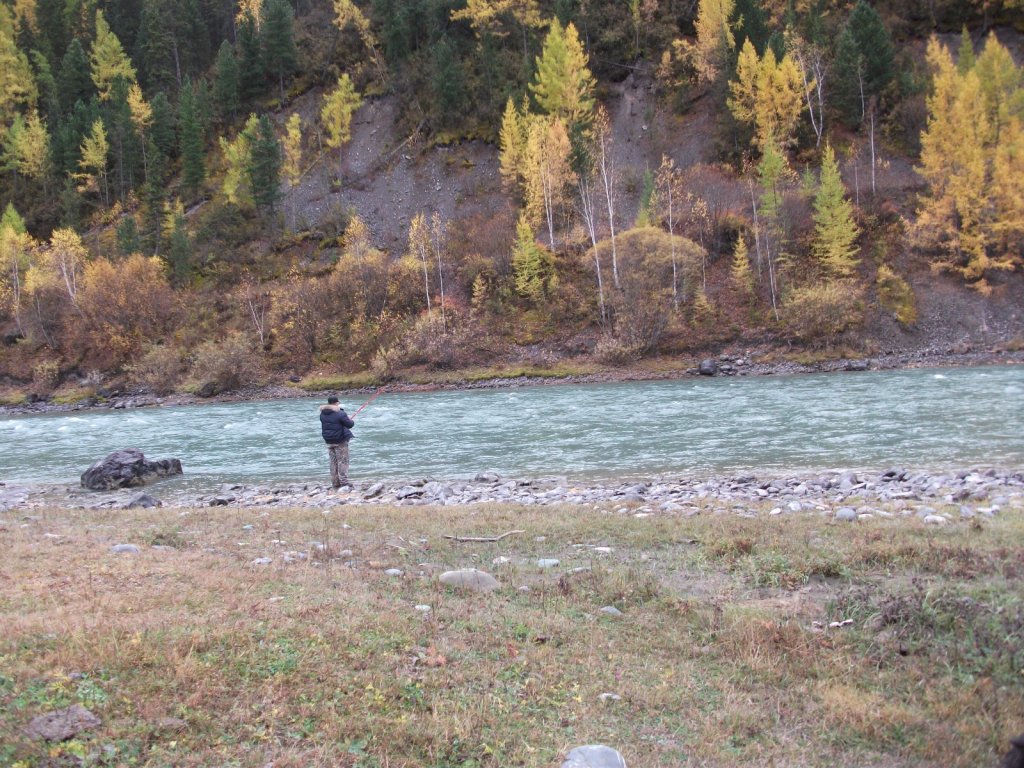 Рыбалка на реке Чуя Горный Алтай