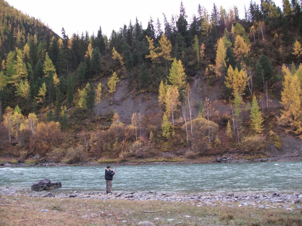 Горный Алтай рыбалка хариуса на реке Чуя.