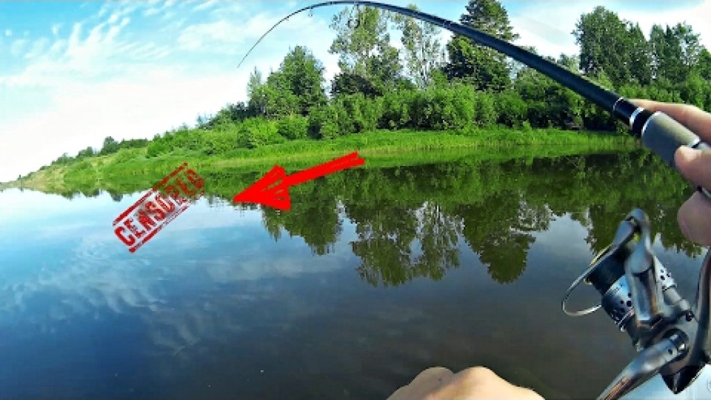 Вот что можно поймать в реке… Рыбалка на спиннинг (Ловля щуки и окуня). Архив…