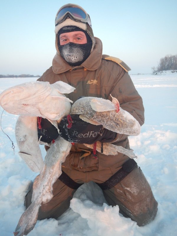 налимий букет