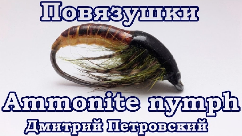 Повязушки. Ammonite nymph