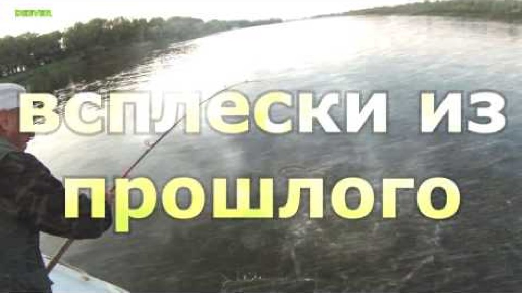 Рыбалка на р.ахтуба. Отдых дикарём. Ловля сазана, ловля судака, супер отдых!