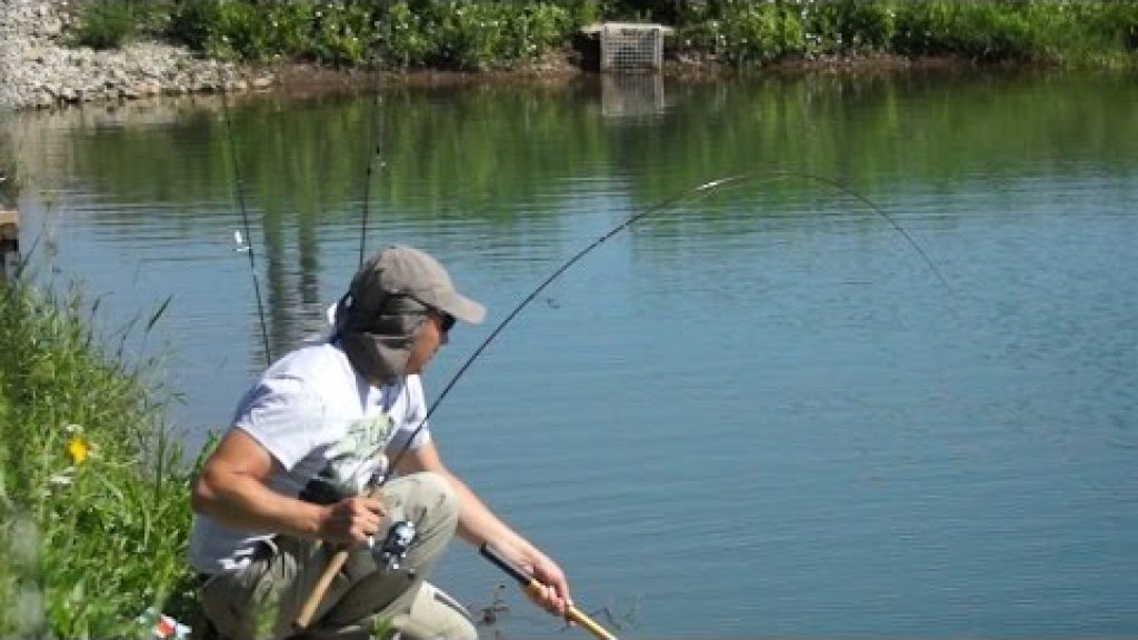 Спиннинг для форели Area Fishing Как выбрать спиннинг для ловли форели для начинающих