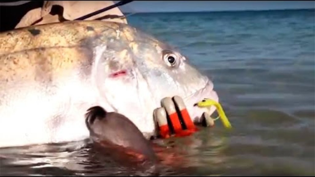 Рыбалка нахлыстом на альбулу