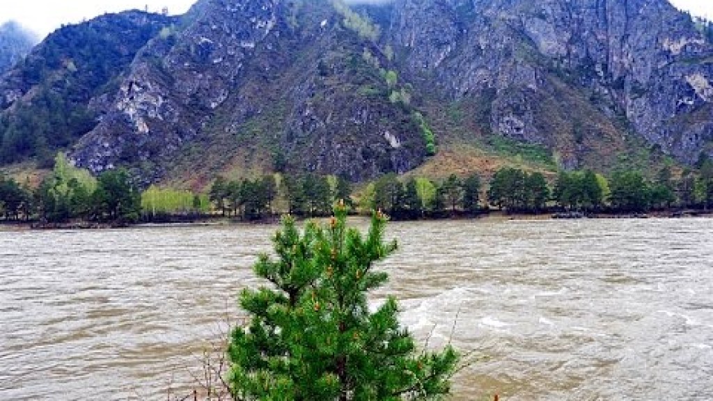 Берег реки Катунь в горах Алтая - 2017 в 4К.