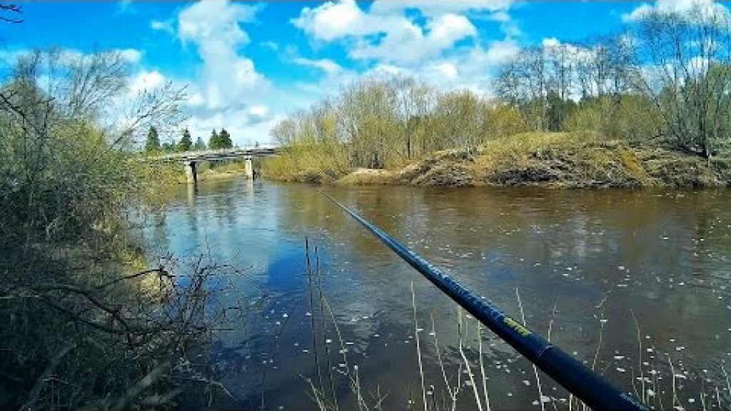 Рыбалка на реке с поплавочной удочкой / Ловлю микро голавлей на удочку