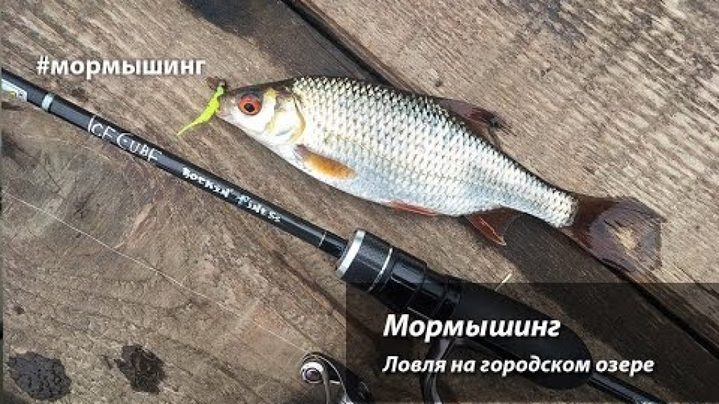 Мормышинг  Ловля на мормышку спиннингом на городском озере