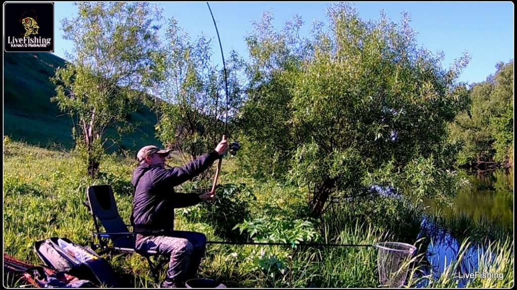 Рыбалка на реке Дон. Фидер. Июнь. (LiveFishing)