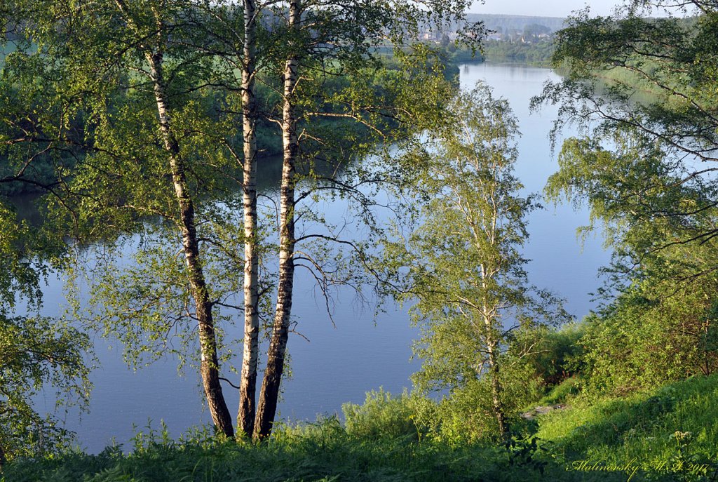 Вечер у реки Иня, июнь 2017